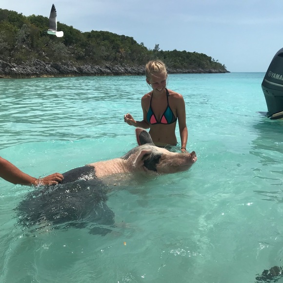 Meet your Posher, Emily - Picture 3 of 3